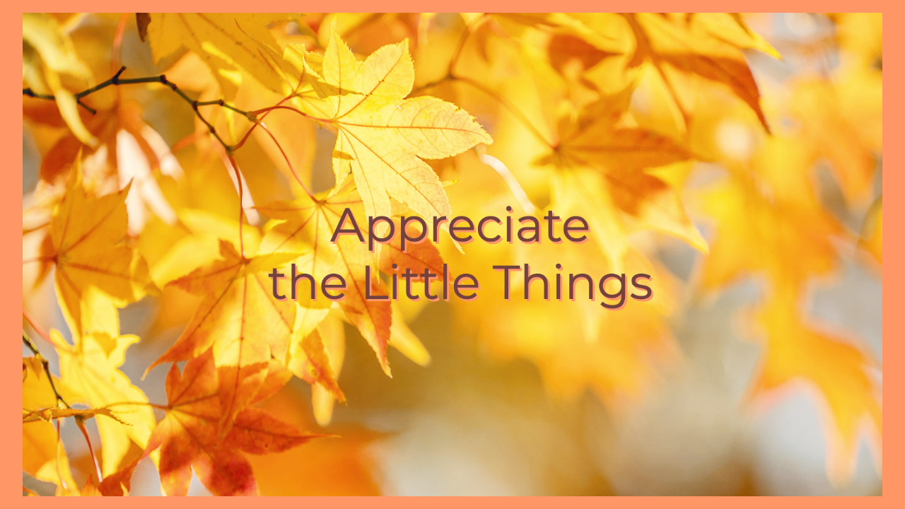 WY FB Gratitude (1)