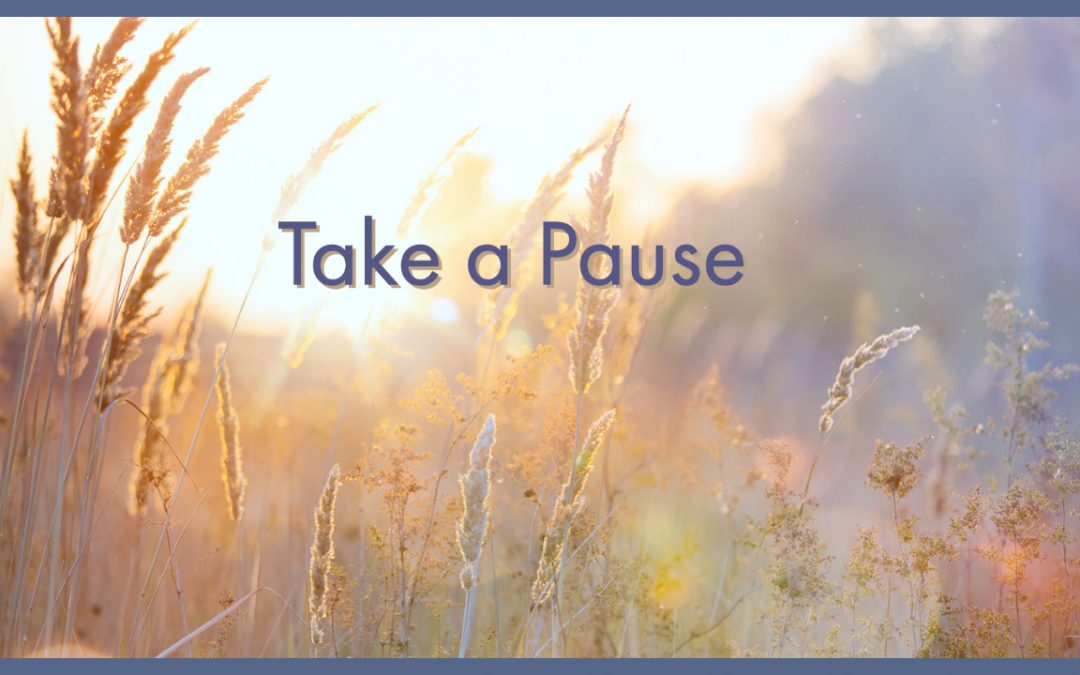 Take a Pause